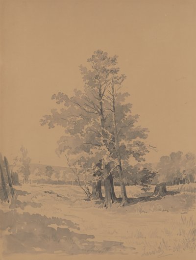 Arbres au bord de la forêt - Friedrich Carl von Scheidlin